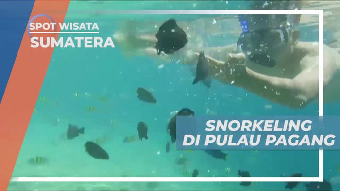 Snorkeling Menikmati Keindahan Bawah Laut Pulau Pagang Sumatera Barat