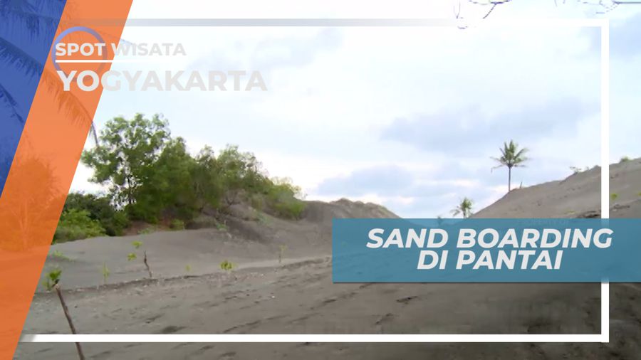 Serunya Meluncur Bermain Sand Boarding di Pantai Parangkusumo, Yogyakarta