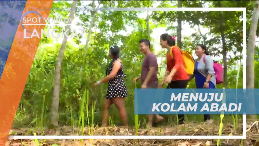 Perjalanan Seru Menyusuri Hutan Menuju Kolam Abadi, Langkat