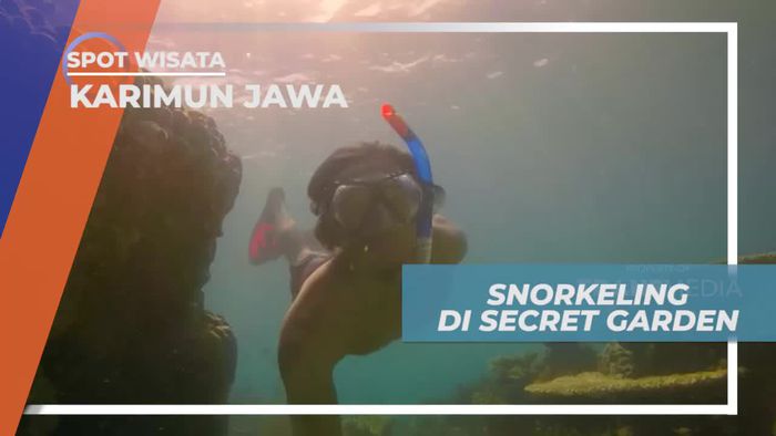Mengintip Indahnya Surga Bawah Laut di Spot Snorkeling Secret Garden, Karimun Jawa