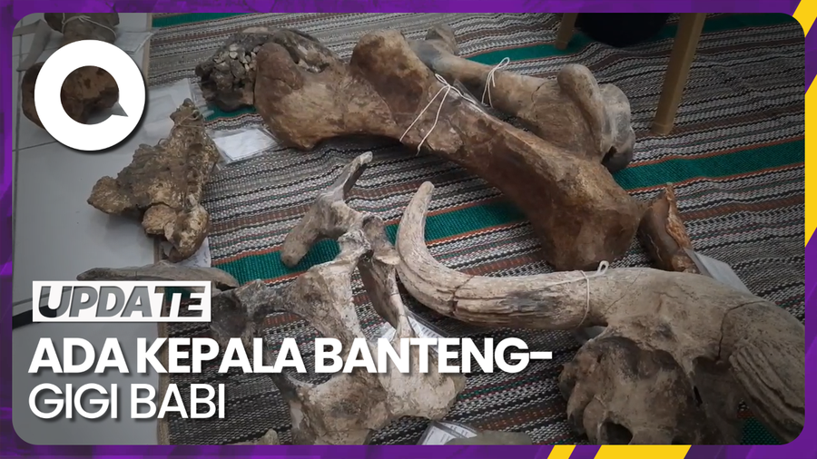 Penampakan Puluhan Fosil di Museum Patiayam Kudus yang Dikonservasi