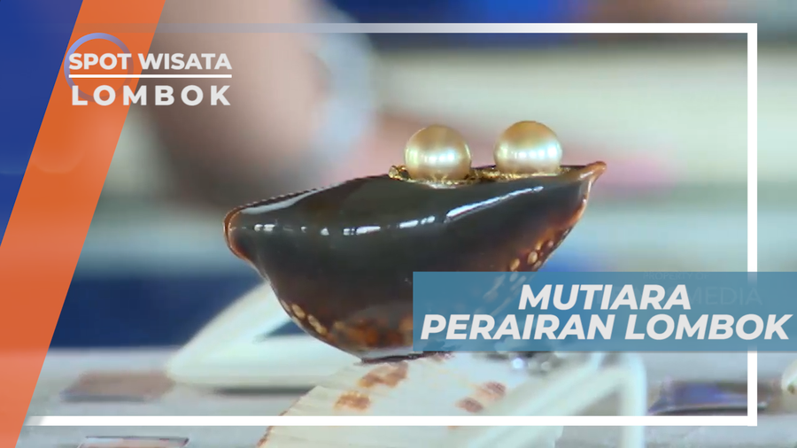 Mengunjungi Tempat Budidaya Mutiara di Perairan Pulau Lombok