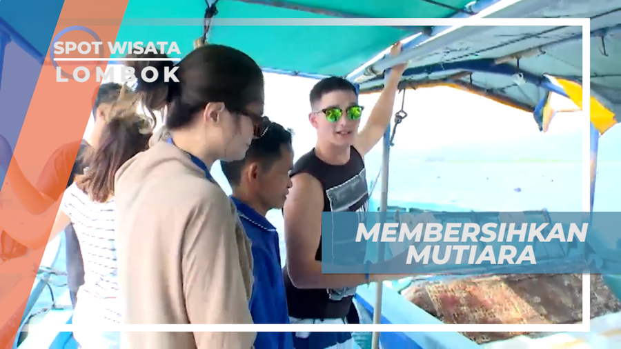 Pengalaman Seru, Ikut Mebersihkan Mutiara yang Baru Diangkat dari Laut, Lombok