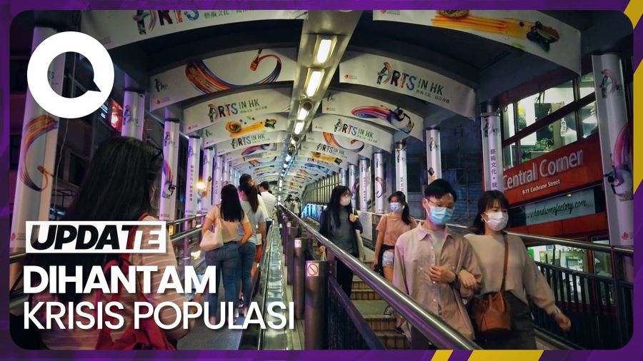 Warga Hong Kong Lebih Pilih Punya Kucing Dibanding Bayi