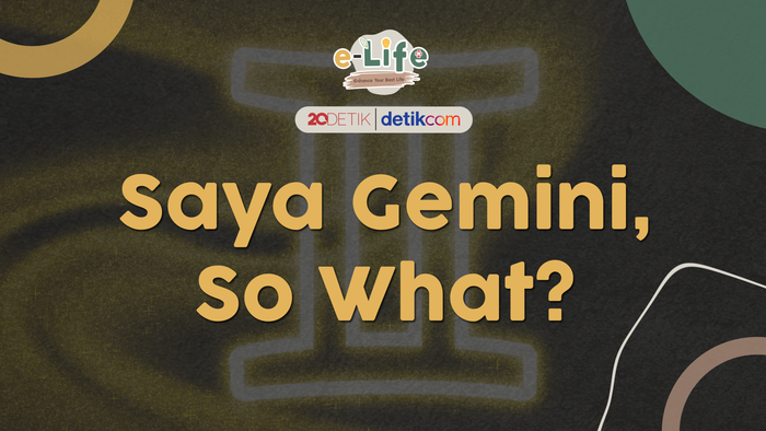 Saya Gemini, So What?