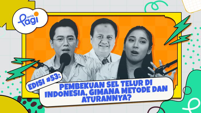 Pembekuan Sel Telur di Indonesia, Gimana Metode dan Aturannya?