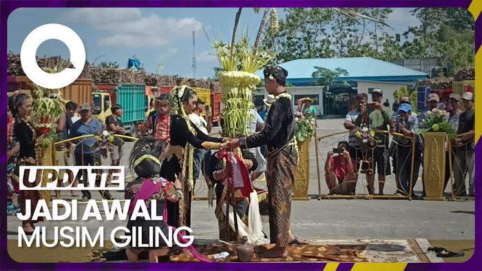 Mengenal Tradisi Temu Manten Tebu di Blitar