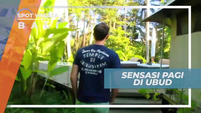 Menikmati Suasana Segar nan Asri Kawasan Ubud Bali