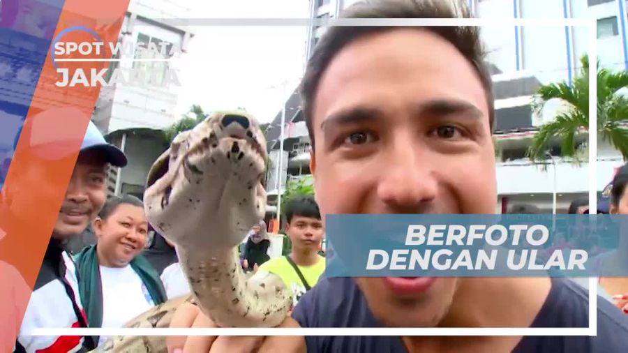 Menguji Keberanian Berfoto Dengan Ular, Jakarta