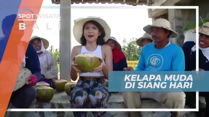 Menikmati Kesegaran Kelapa Muda di Siang Hari, Ubud Bali
