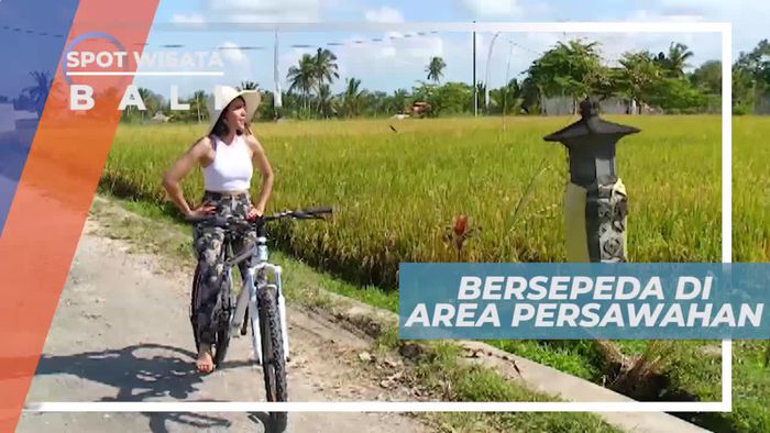 Bersepeda Menyusuri Area Persawahan Ubud Bali