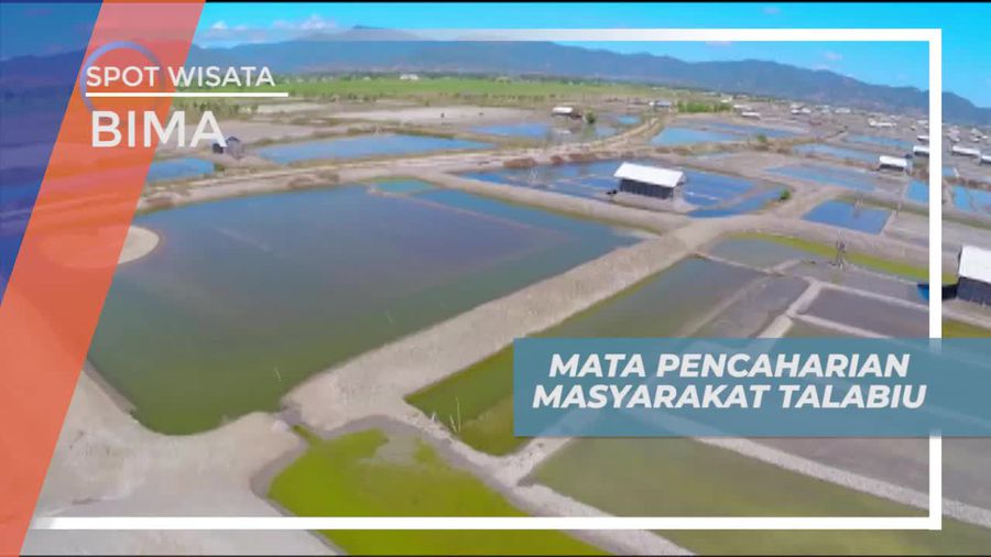Ladang Garam, Mata Pencaharian Masyarakat Talabiu Bima