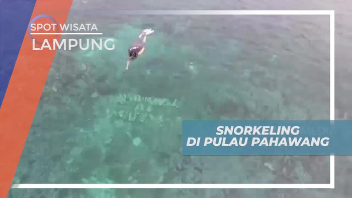 Snorkeling Menikmati Keindahan Bawah Laut Pulau Pahawang Lampung