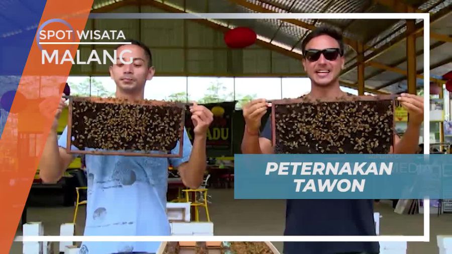 Berkunjung ke Peternakan Tawon di Kota Malang