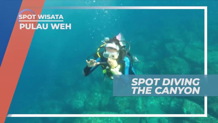 Diving Menikmati Panorama Tebing Bawah Laut Pulau Weh