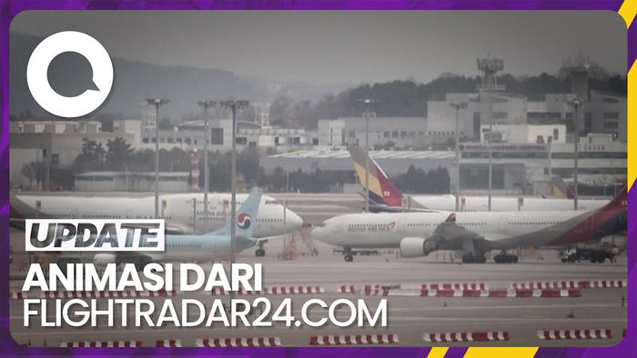 Jalur Penerbangan Saat Pintu Pesawat Asiana Airlines Terbuka Sebelum Mendarat