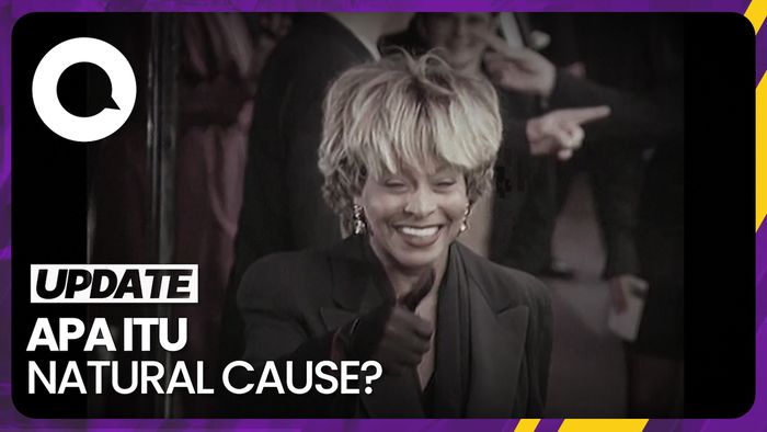 Keluarga Sebut Kematian Tina Turner Karena Natural Cause