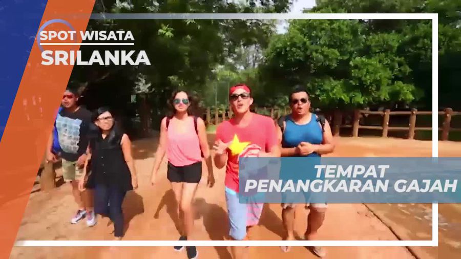 Berkunjung ke Tempat Penangkaran Gajah di Srilanka