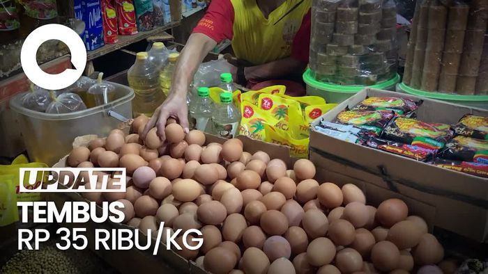 Harga Telur Ayam Terus Meroket!