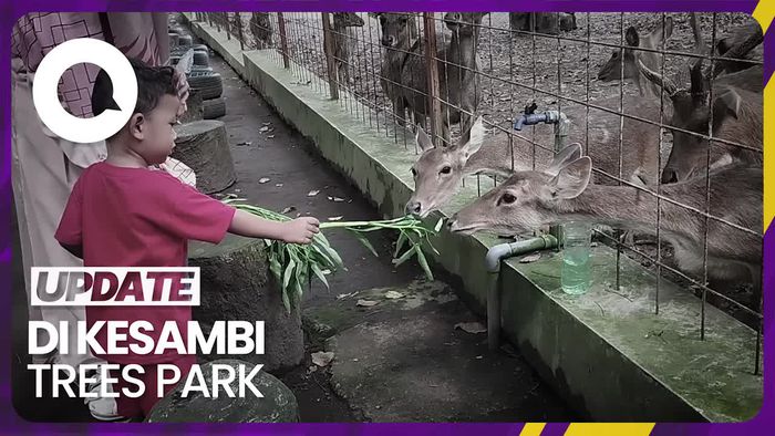 Liburan Akhir Pekan ke Wahana Edukasi Konservasi Rusa di Blitar