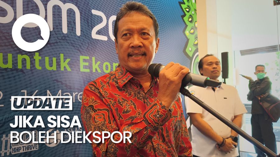 Menteri Kelautan Sebut Sedimentasi Pasir Laut untuk Reklamasi di IKN