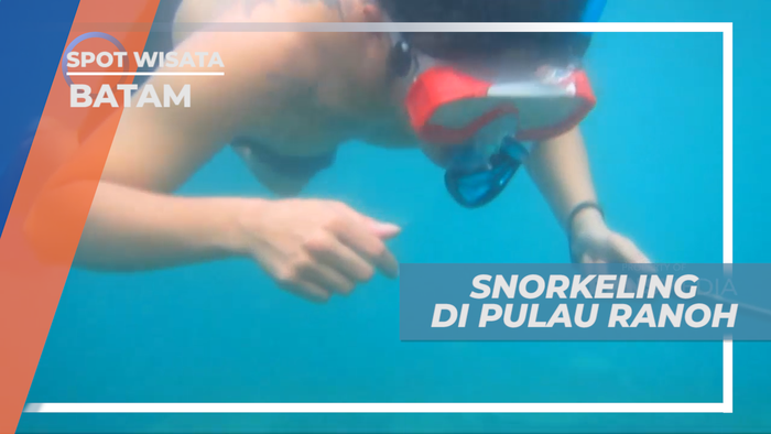Mengintip Indahnya Pemandangan Bawah Laut Pulau Ranoh, Batam