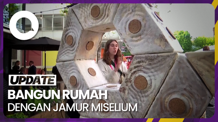 Ide Arsitek London Bangun Rumah dari Jamur Miselium