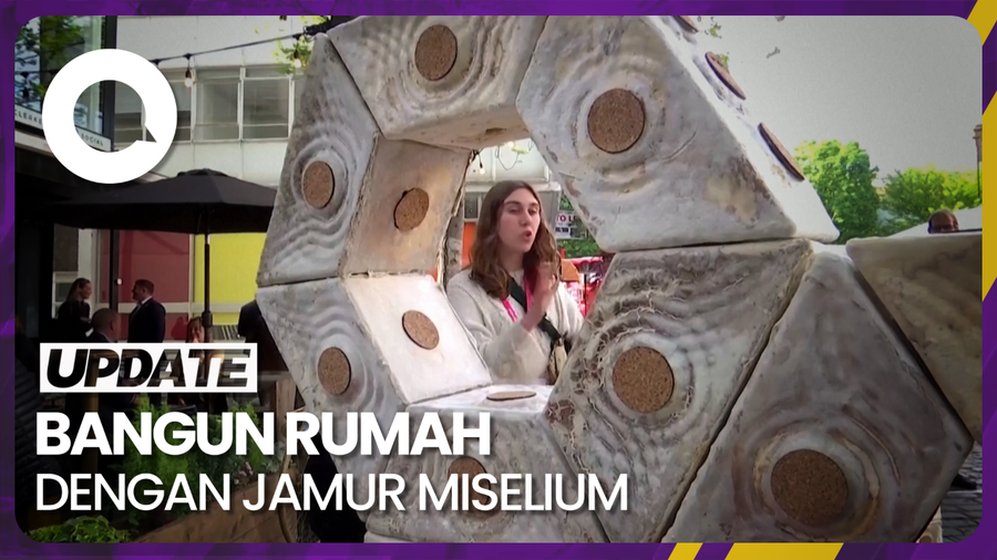 Ide Arsitek London Bangun Rumah dari Jamur Miselium