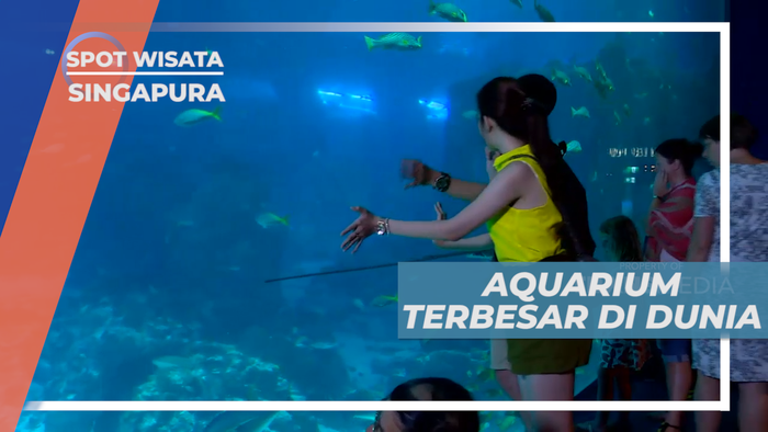 Jalan-jalan Mengunjungi Megahnya Aquarium Terbesar di Dunia, Singapura