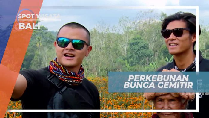 Berkunjung ke Perkebunan Bunga Gemitir Bali