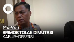 Propam soal Brimob Tolak Dimutasi-Ngaku Setor Rp 650 Juta: Dia Bermasalah