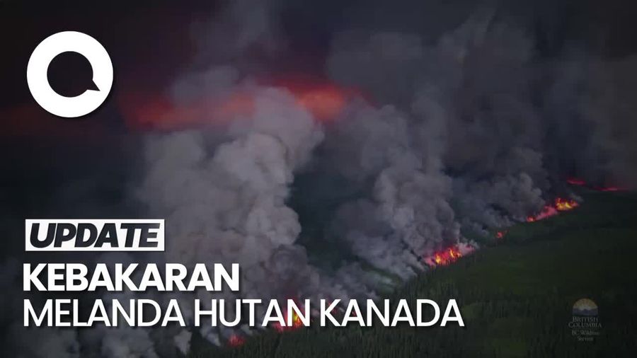 Kebakaran Melanda Hutan Kanada, Helikopter Diterjunkan Padamkan Api