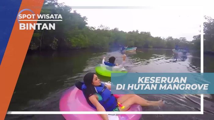 Menikmati Suasana Asri di Hutan Mangrove Bintan