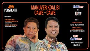 Manuver Koalisi Cawe-cawe