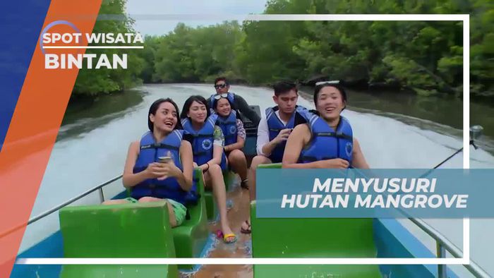 Berperahu Menyusuri Kawasan Hutan Mangrove Bintan