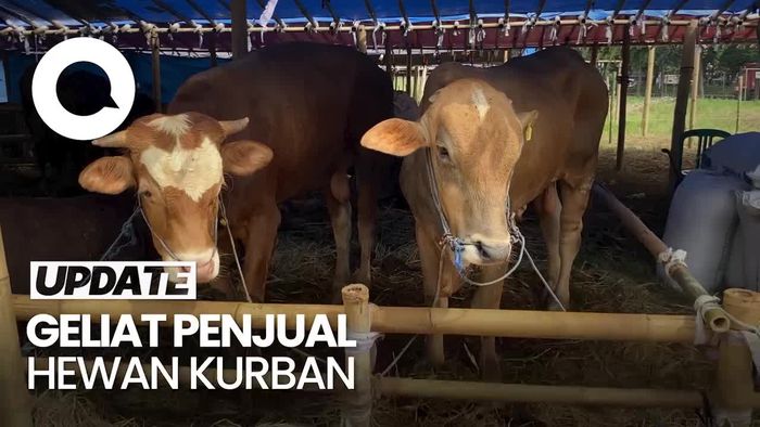 Jelang Idul Adha, Penjualan Hewan Kurban di Bandung Meningkat