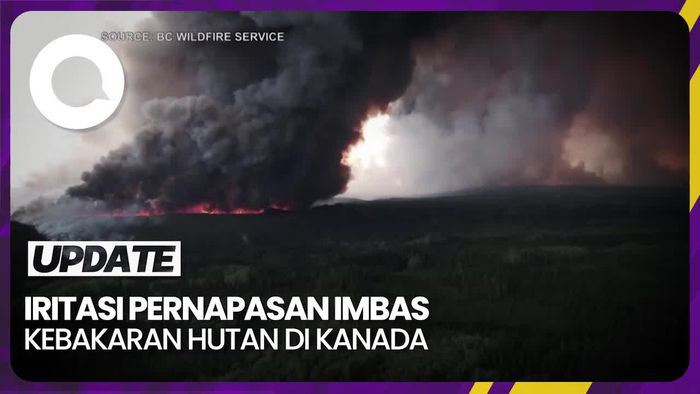 Risiko Kesehatan yang Mengintai Imbas Kebakaran Hutan