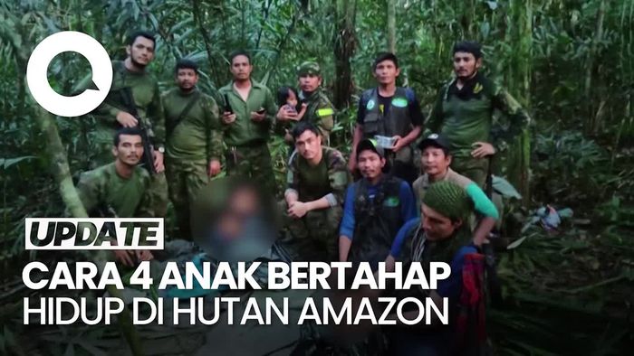 Fakta 4 Anak Selamat Berjuang Hidup di Hutan Amazon Usai Kecelakaan Pesawat