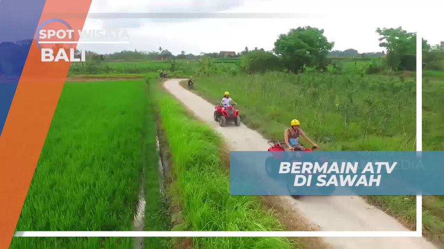 Bermain ATV Ditemani Hijaunya Panorama Sawah Bali