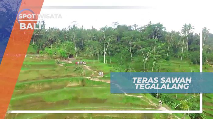 Berkunjung ke Teras Sawah Tegalalang Bali
