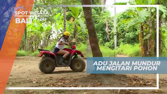 Tantangan Seru ATV, Lomba Jalan Mundur Mengitari Pohon di Bali