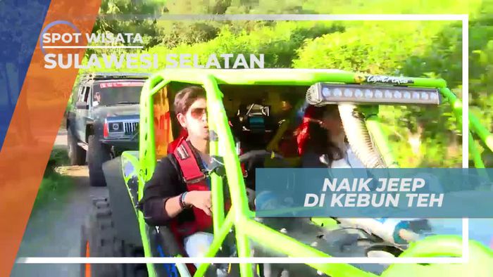 Berkeliling Kebun Teh Naik Mobil, Sulawesi Selatan
