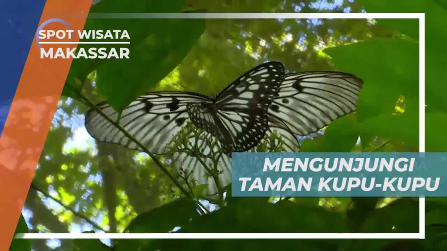 Berkunjung ke Taman Nasional Bantimurung Makassar