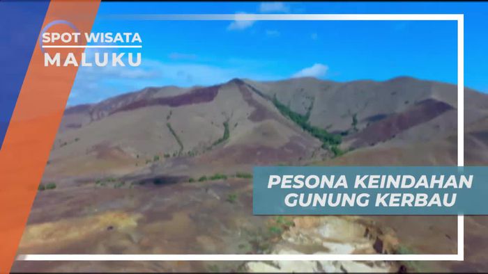 Gunung Kerbau, Tertinggi di Pulau Moa Maluku