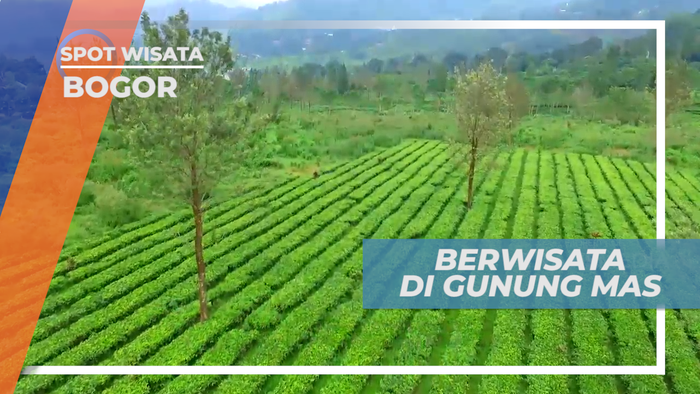 Berkunjung ke Taman Wisata Gunung Mas Bogor