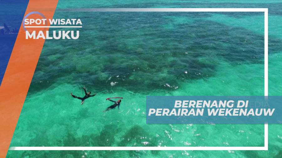 Liburan Seru di Tanah Maluku, Menjelajahi Indahnya Perairan Wekenauw, Maluku