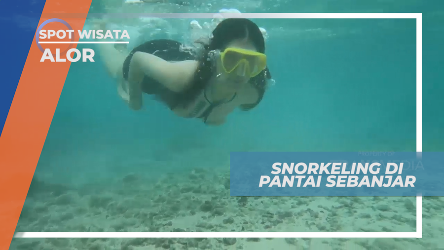 Megintip Keindahan Surga Bawah Laut di Pantai Sebanjar, Alor