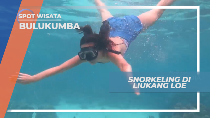 Mengintip Indahnya Kehidupan Bawah Laut Pulau Liukang Loe, Bulukumba