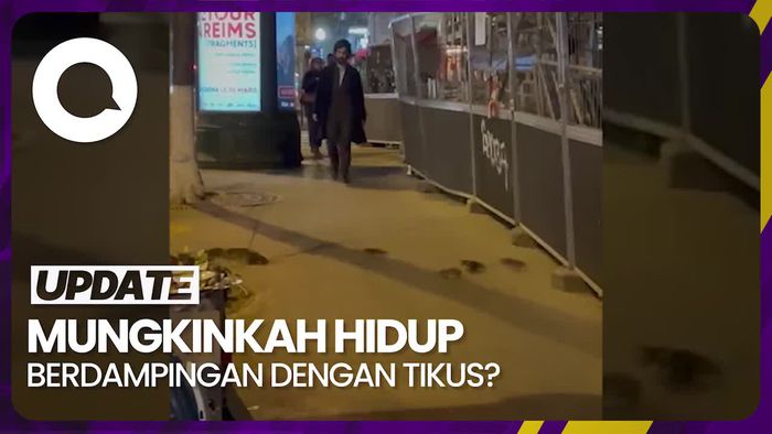 5 Penyakit Intai Warga Paris jika Hidup Berdampingan dengan Tikus