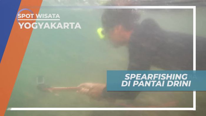 Menangkap Ikan Dengan Spearfishing di Pantai Drini Yogyakarta
